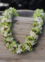 tuberose with green orchid lei